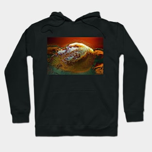 Snow and Fire Landscape Hoodie